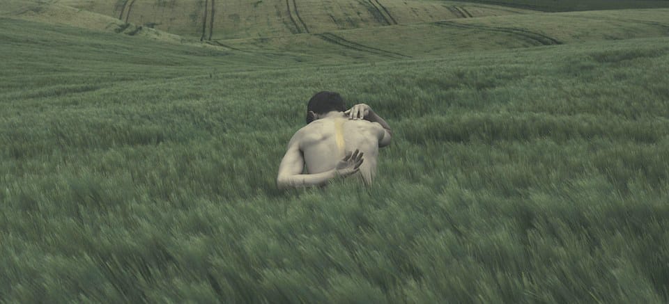 Mentira al desnudo