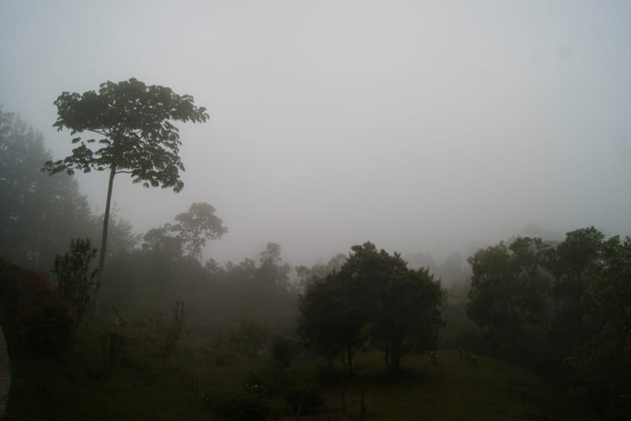 Montearroyo 3