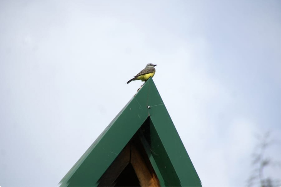 Montearroyo 6